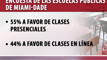 encuesta de las escuelas publicas de miami-dade: 55% a favor de clases presenciales