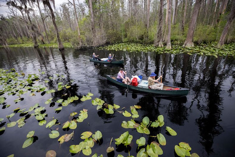 ARCHIVO - Visitantes regresan al Parque Estatal Stephen C. Foster tras una acampada nocturna en el Red Trail en el Refugio Nacional de Vida Silvestre Okefenokee, en Fargo, Georgia, el 6 de abril de 2022. (AP Foto/Stephen B. Morton, archivo)