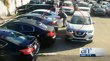 roban en dealer de miami medio millon de dolares