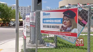 aparecen carteles de la candidata eileen higgins con una boina del che guevara
