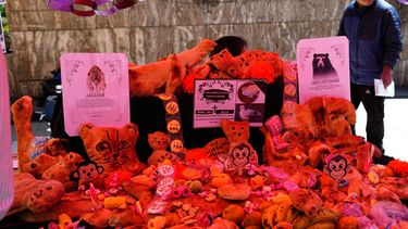 Tantawawas, panes tradicionales con forma de animales amazónicos, se exhiben en un altar del Día de Muertos en La Paz, Bolivia, el viernes 30 de octubre de 2026. (Foto AP/Juan Karita)