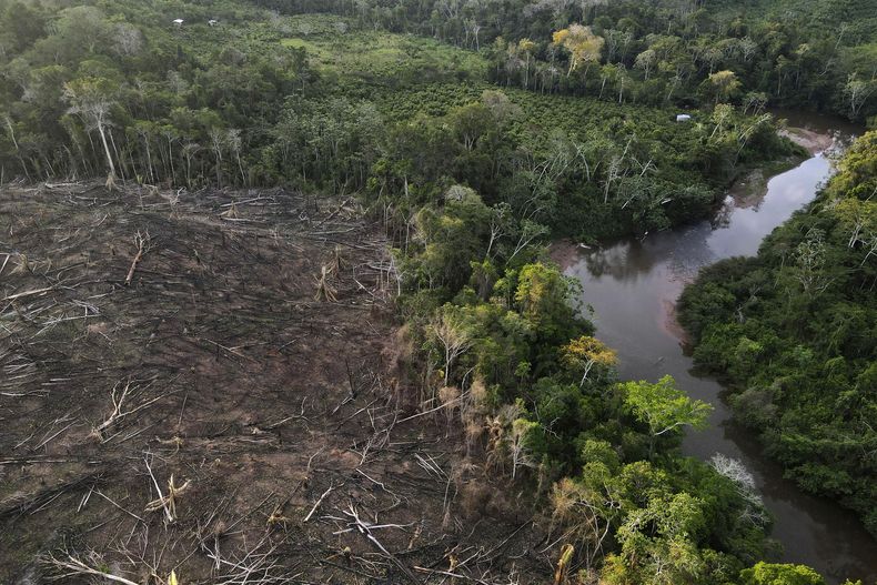 ARCHIVO - Árboles talados --del lado izquierdo-- yacen cerca de un extremo del Parque Nacional Cordillera Azul, el 3 de octubre de 2022, en la Amazonia de Perú. (AP Foto/Martín Mejía, archivo)