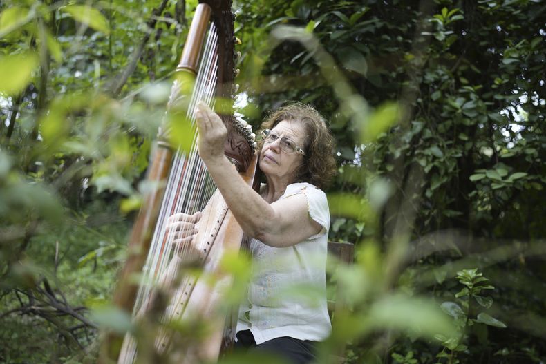 Celsa Ramírez, expresa política en la dictadura de Stroessner, toca el arpa en su jardín en Ita, Paraguay, el viernes 22 de noviembre de 2024. Ramírez, antigua militante del Partido Comunista, estuvo encarcelada entre 1975 y 1978 y aún busca a su marido desaparecido. (AP Foto/Jorge Sáenz)