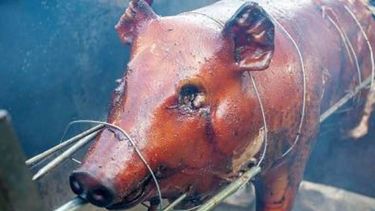 agricultura asegura que habra cerdo local para navidad