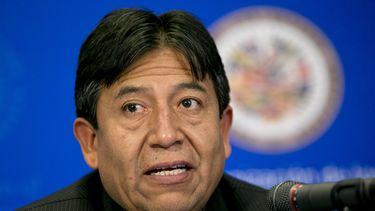 Excanciller indígena candidato del partido de Morales