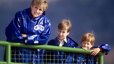 la relacion entre harry y william, una incognita a dos meses del homenaje a lady di