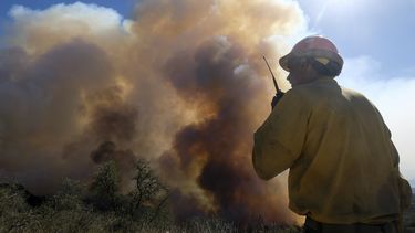 Reporte: EEUU debe lidiar con migración climática