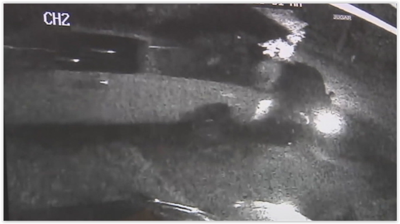 CARRO CHOCA EN PERSECUCION.PNG