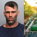 Cubano de Hialeah es arrestado en Miami acusado de robar 142 aguacates valorados en más de $850
