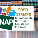 ¿Cómo solicitar la ayuda alimentaria en EEUU y quiénes son elegibles?