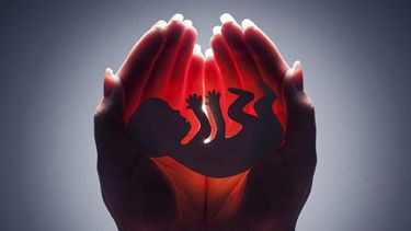 revive la polemica por el derecho de las mujeres al aborto