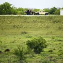 Dos miembros de la Guardia Nacional patrullan un área de tierra detrás del muro fronterizo federal la tarde del martes 19 de marzo de 2024, en Mission, Texas. (AP Foto/Valerie Gonzalez)