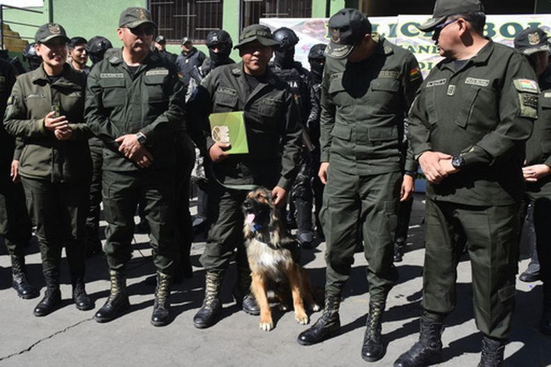 Un perro callejero que fue adoptado por la policía durante una operación para despejar las carreteras bloqueadas por manifestantes antigubernamentales, al que llamaron Rex, es nombrado oficial durante una ceremonia en Cochabamba, Bolivia, el miércoles 24 de junio de 2026. (AP Foto/Dico Soliz)