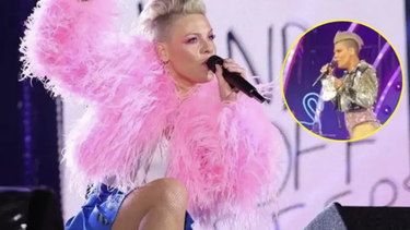 Fan arrojó los restos de su madre al escenario en un concierto de Pink