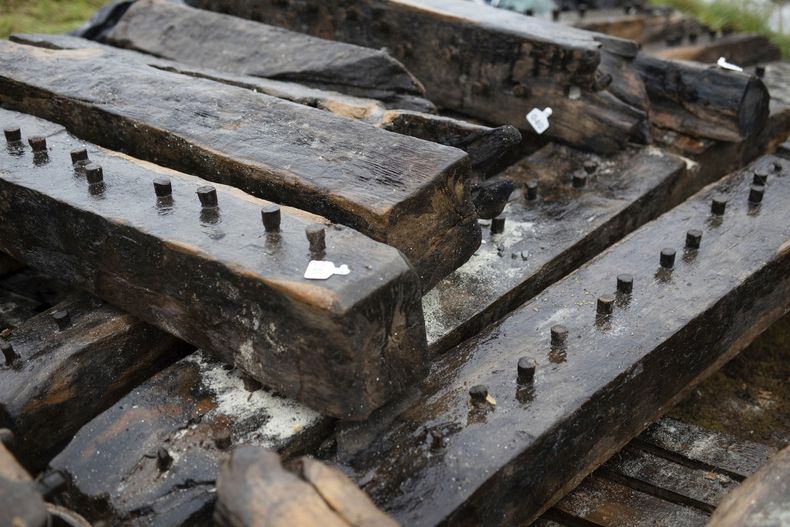 En esta imagen proporcionada por Wessex Archaeology pueden apreciarse tablas del naufragio de la isla Sanday antes de ser colocadas en un tanque de agua dulce, el 23 de septiembre de 2024, en el Sanday Heritage Centre en las islas Orcadas, Reino Unido. (Fionn McArthur/Wessex Archaeology vía AP)