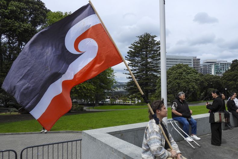Un manifestante contra la Iniciativa de Ley de los Principios del Tratado se sienta frente al Parlamento en Wellington, Nueva Zelanda, jueves 14 de noviembre de 2024. (Foto AP/Charlotte Graham-McLay)