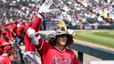 Shohei Ohtani, de los Angelinos de Los Ángeles, celebra en el dugout después de batear jonrón de dos carreras frente al abridor de los Medias Blancas de Chicago, Lance Lynn, durante la tercera entrada del juego de béisbol, el miércoles 31 de mayo de 2023, en Chicago. (AP Foto/Charles Rex Arbogast)