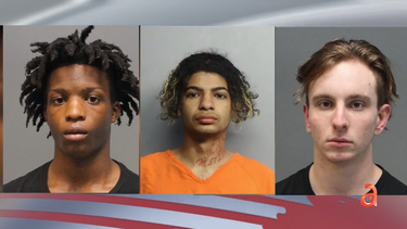arrestan a banda de delincuentes que robaban celulares a punta de pistola en hialeah y kendall