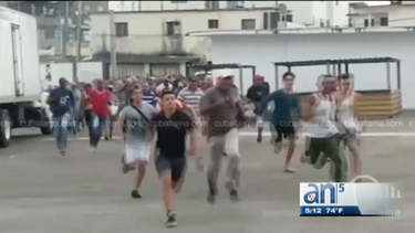 cuba a dia: estampida humana en mercado habanero