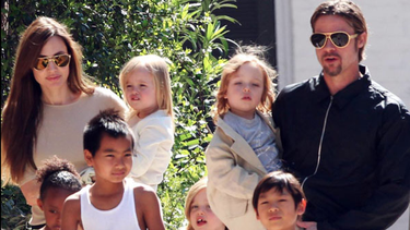 que paso en el fatidico vuelo que sello la separacion entre brad pitt y angelina jolie
