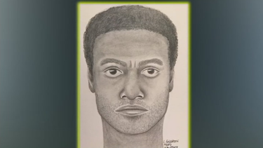 nuevos detalles sobre sospechoso de asaltar sexualmente a mujer en miami beach