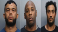 tres cubanos son arrestados por una ola de robos a negocios en el sur de florida con perdidas millonarias