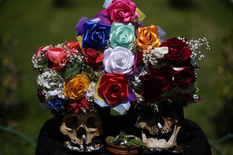 Cráneos humanos decorados son llevados al cementerio municipal de La Paz, Bolivia, el viernes 8 de noviembre de 2024, para la celebración anual de las Ñatitas. (AP Foto/Juan Karita)