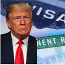 TRUMP suspende la lotería de green cards tras el ataque mortal en la Universidad de Brown TRUMP suspende la lotería de green cards tras el ataque mortal en la Universidad de Brown