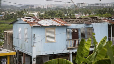 temen se repita la historia de hugo