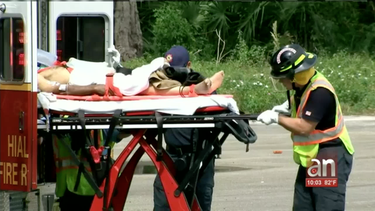 anciano se debate entre la vida y la muerte  tras ser atropellado en hialeah