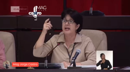 polemica en cuba: ministra de trabajo niega la existencia de mendigos y desata criticas hasta del propio diaz-canel