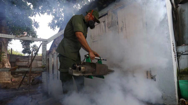 cuba reporta en una semana 4 veces mas casos de dengue que primer semestre