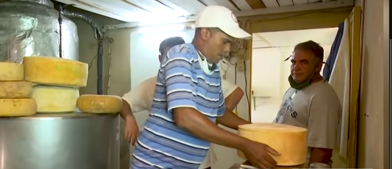 Screen Shot 2021-09-03 at 4.01.08 PM.png