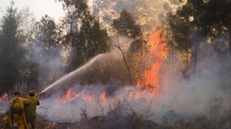 el incendio en holguin avanza hacia santiago de cuba y ya quemo casi 2.000 hectareas