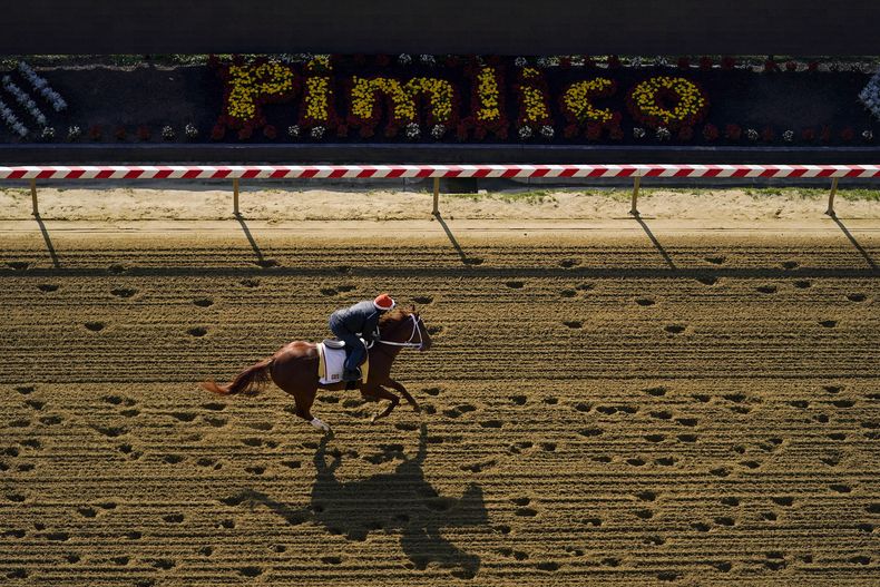 El ganador del Derby de Kentucky, Mage, entrena de cara a la 148va edición del Preakness Stakes en el Hipódromo Pimlico, el jueves 18 de mayo de 2023, en Baltimore. (AP Foto/Julio Cortez)