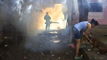 americateve | Un empleado del Ministerio de Salud de Nicaragua fumiga viviendas de la capital, Managua, el jueves 31 de octubre del 2013. El gobierno nicarag&uuml;ense dijo que se han presentado m&aacute;s de 5.000 casos de dengue en lo que va del a&ntilde;o y que han