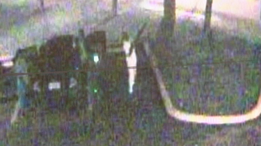 revelan impactantes imagenes de jovenes disparando rifles de asalto