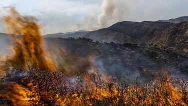 ARCHIVO - Las llamas consumen un incendio cerca de Altura, en el este de España, el viernes 19 de agosto de 2022. (AP Foto/Alberto Saiz, archivo)
