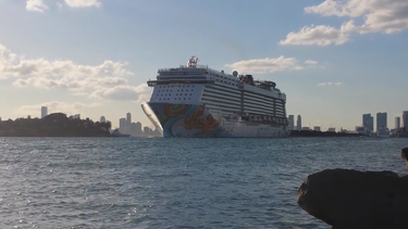 miami-dade y royal caribbean llegan a un acuerdo para construir nueva terminal de cruceros en el puerto de miami