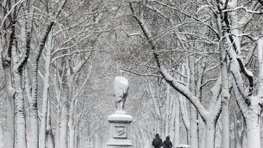 miles de vuelos cancelados por tormenta invernal