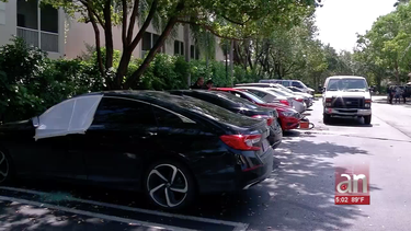 vandalizan y roban mas de 20 vehiculos en un condominio del doral