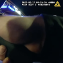 VIDEO: Háganlo, por favor, mátenme: dos policías abaten un hombre que llevaba un cuchillo cubierto de sangre