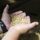 EEUU y China intercambian gestos conciliadores en comercio