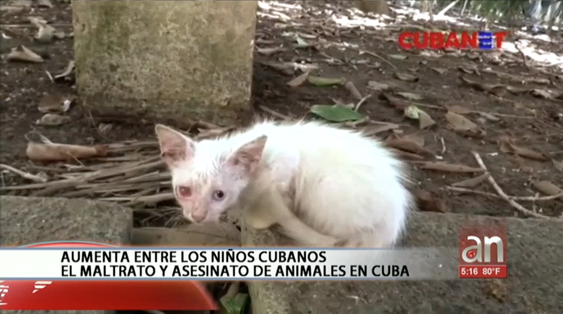 Screen Shot 2018-10-30 at 6.20.48 PM.png