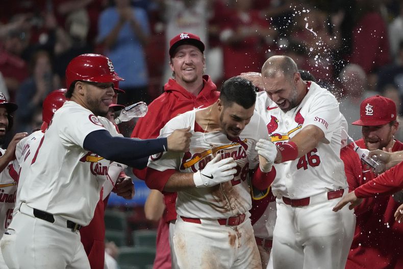 Nolan Arenado (centro) recibe la felicitación de sus compañeros de los Cardenales de San Luis, tras conectar un grand slam que significó el triunfo sobre los Cerveceros de Milwaukee, el miércoles 21 de agosto de 2024 (AP Foto/Jeff Roberson)