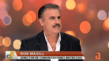 portavoz del metro zoo ron magill cuenta su viaje a cuba