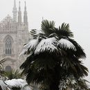 Ártico tiene su invierno más cálido de la historia