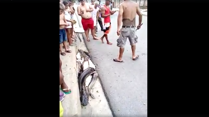 Screen Shot 2016-08-05 at 11.35.06 AM.png