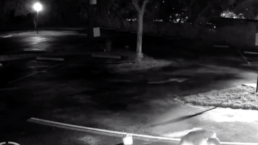 captado en camara el momento en que un hombre prende fuego a una iglesia en broward