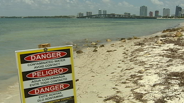 continua la alerta por aguas contaminadas en las playas de miami